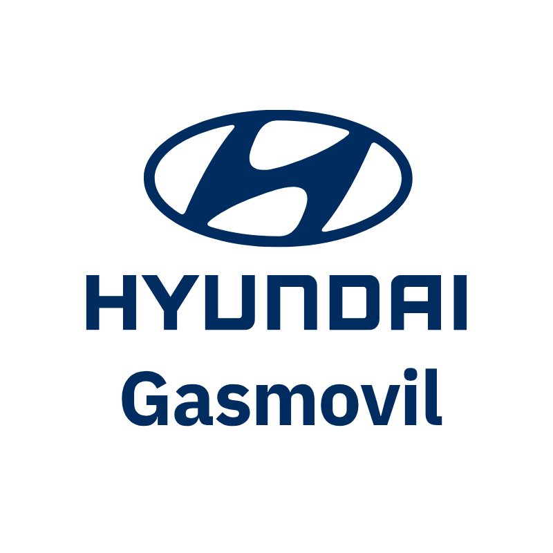 LOGO HYUNDAI WEB PREMIO